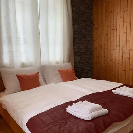 Apartment Niesenblick Interlaken