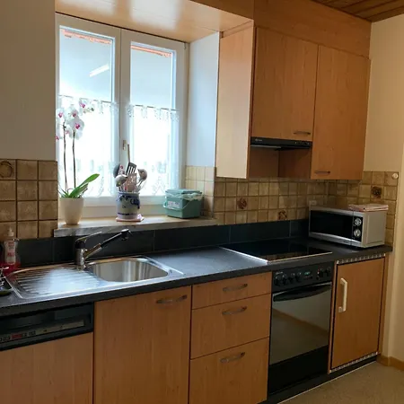 Apartment Niesenblick *
